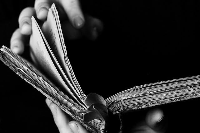 literlandweb1's tweet photo. "Ninguno de los libros de este mundo
te aportará la felicidad,
pero secretamente te devuelven
a ti mismo.
Allí está todo lo que necesitas,
sol, luna y estrellas,
pues la luz que reclamas
habita en tu interior".
Hermann Hesse https://t.co/8iy0s53sCk