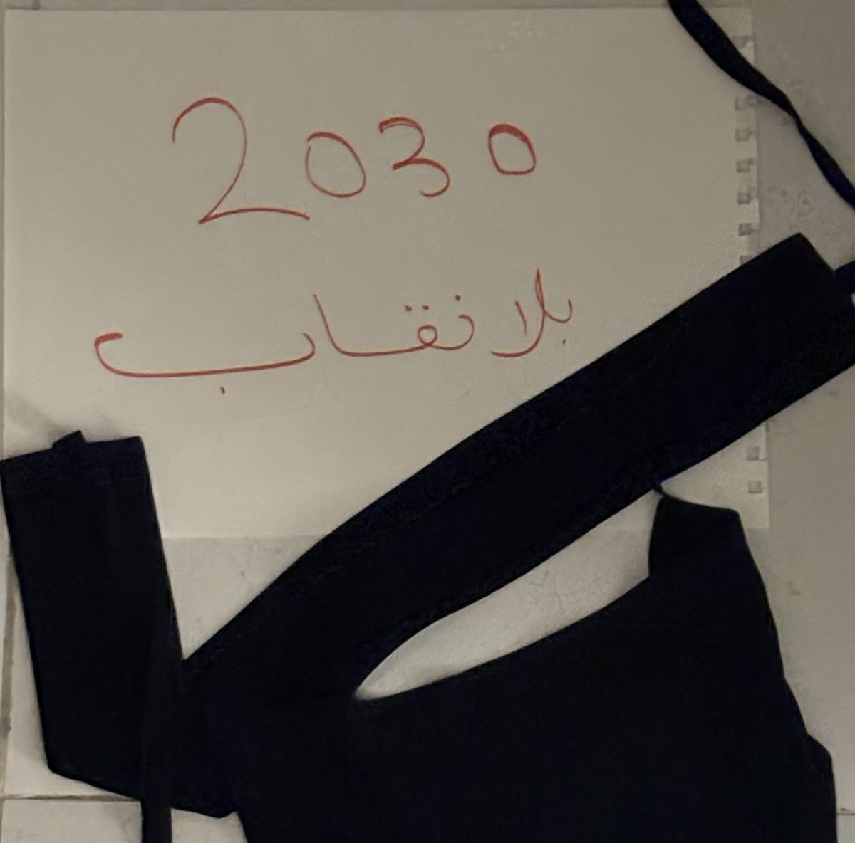 voice4women1's tweet photo. مستمرين ياملكات؟ #٢٠٣٠_بلا_نقاب7 https://t.co/ltiuQBU8FT