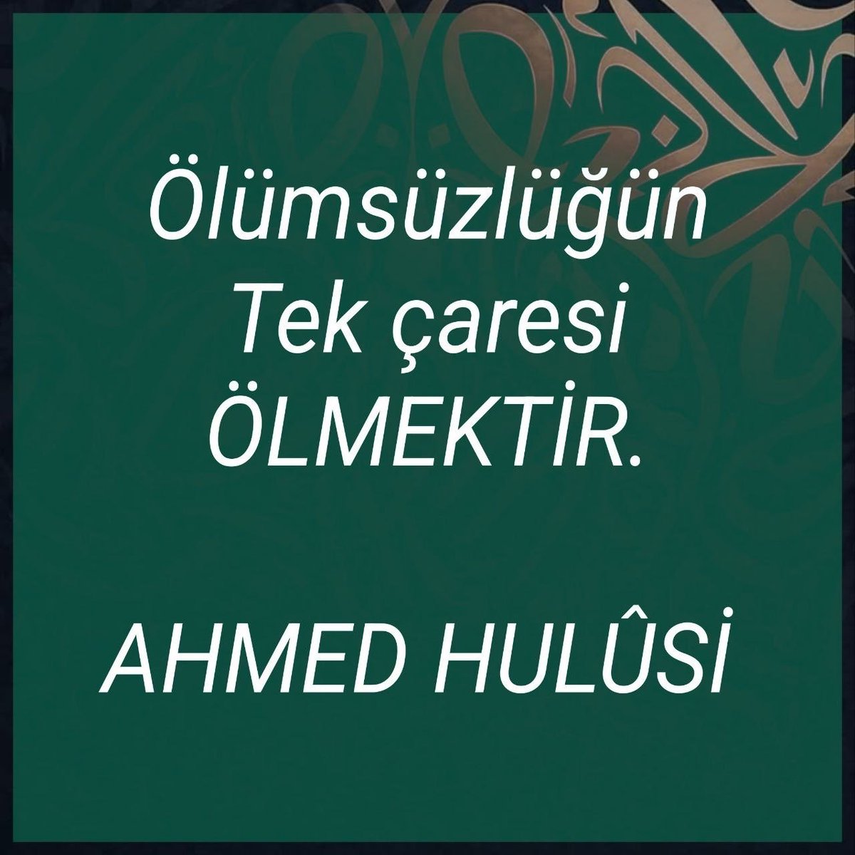 ahmedfyuksel's tweet photo. TEK ÇARE!?... https://t.co/jQqd2kzlEQ