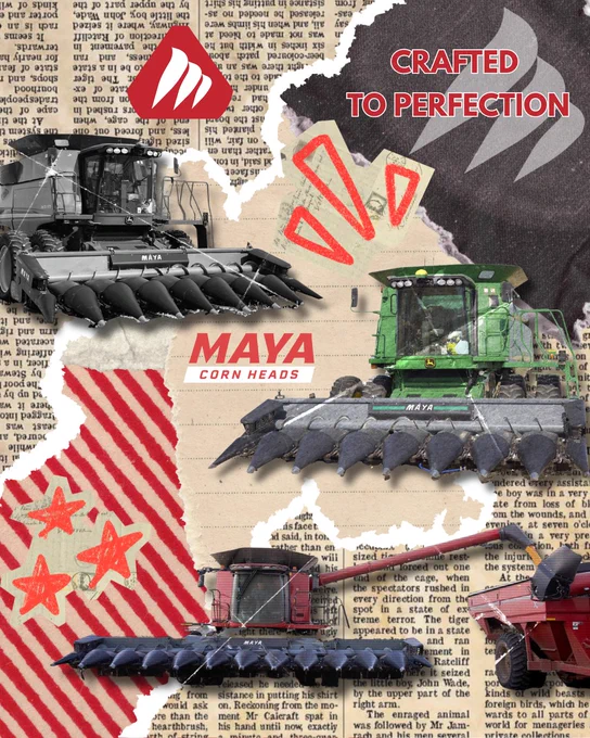 Image from Maya Cornheads (@maya_cornheads)