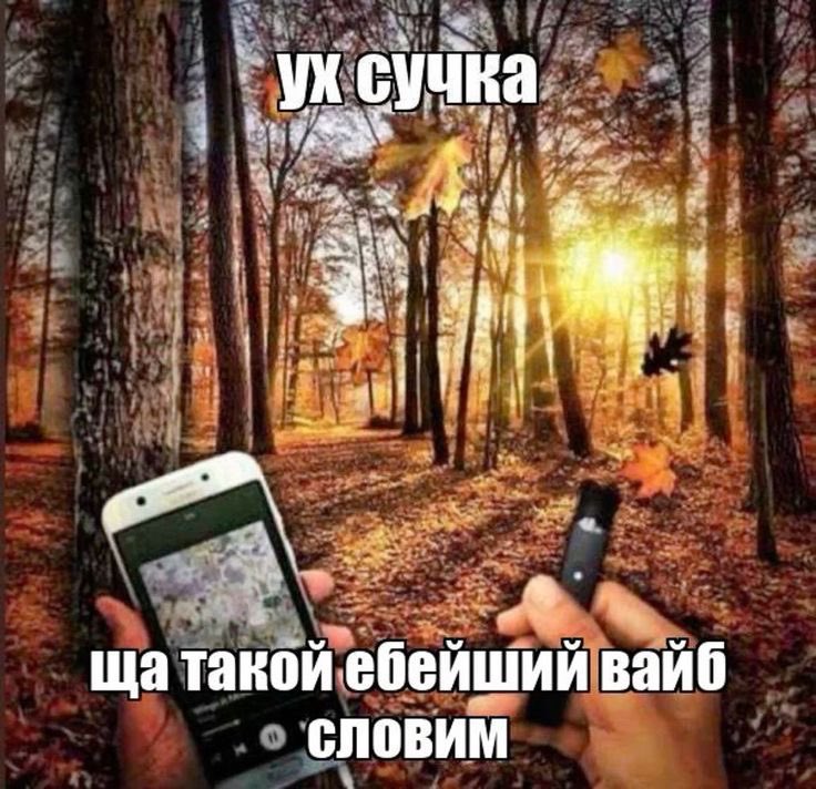 VenaMarr's tweet photo. Кто то скажет вайб, но это вторник https://t.co/wd3IBr1vcv