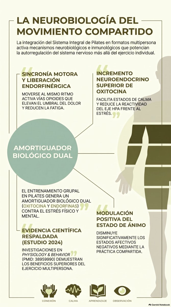 MiPilatesStudio's tweet photo. El origen del #Pilates fue individual, pero la ciencia demostró que el formato grupal tiene un superpoder oculto... 🧘‍♀️⚡️ https://t.co/umPXDc5cQR