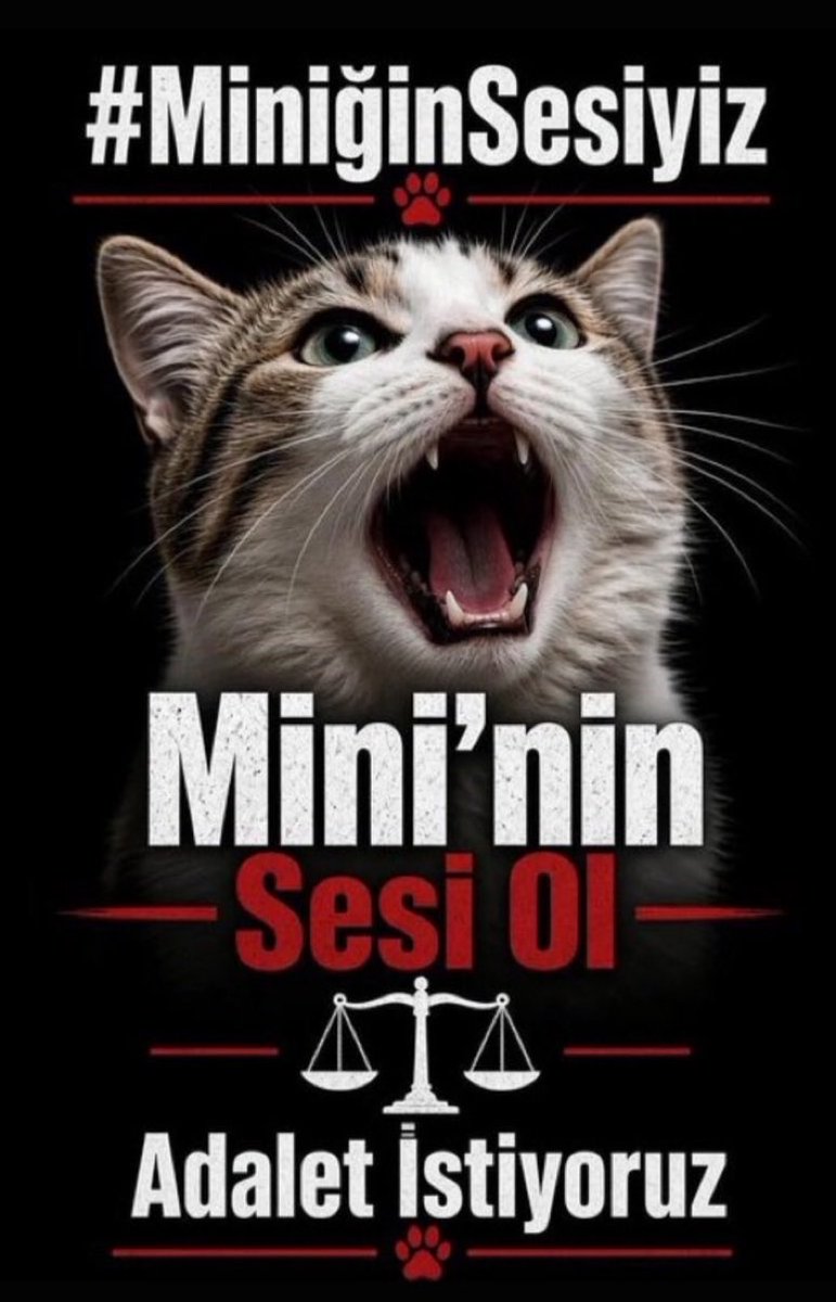 mavikurbaga's tweet photo. sabah güzel habere uyanma dileğiyle..

#MinikKediyiUnutmadık https://t.co/zAPRSIAJ2P