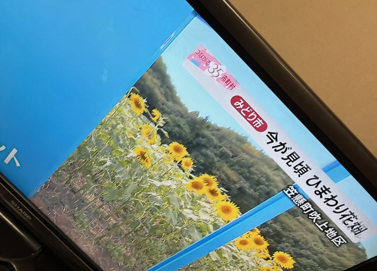 toysudon's tweet photo. おはようございます
昨日は30℃
寒かったり暑かったりで偏頭痛w
本日🈺
日替わり各種ご用意
#ひまわり花畑まつり
今週末3連休にて
みどモスパ♨️も出来混雑か
休日は
たまに食べたくなる極濃湯麺🍜
麻辣湯が流行ってるから辣椒味噌麺 https://t.co/ZhXZN2GeKV