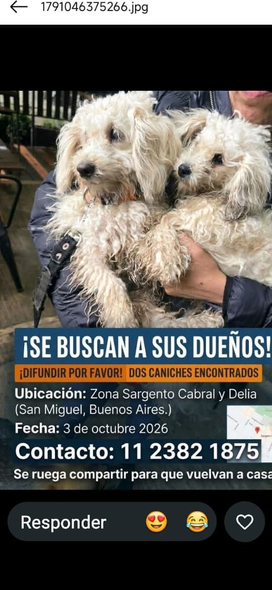 patripeyrou's tweet photo. Difundimos https://t.co/sHpoxBjoGX