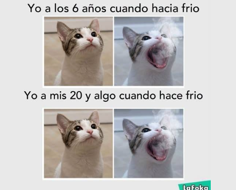 AlejandraClbqp's tweet photo. y si jajaja https://t.co/oRyIndbMgm