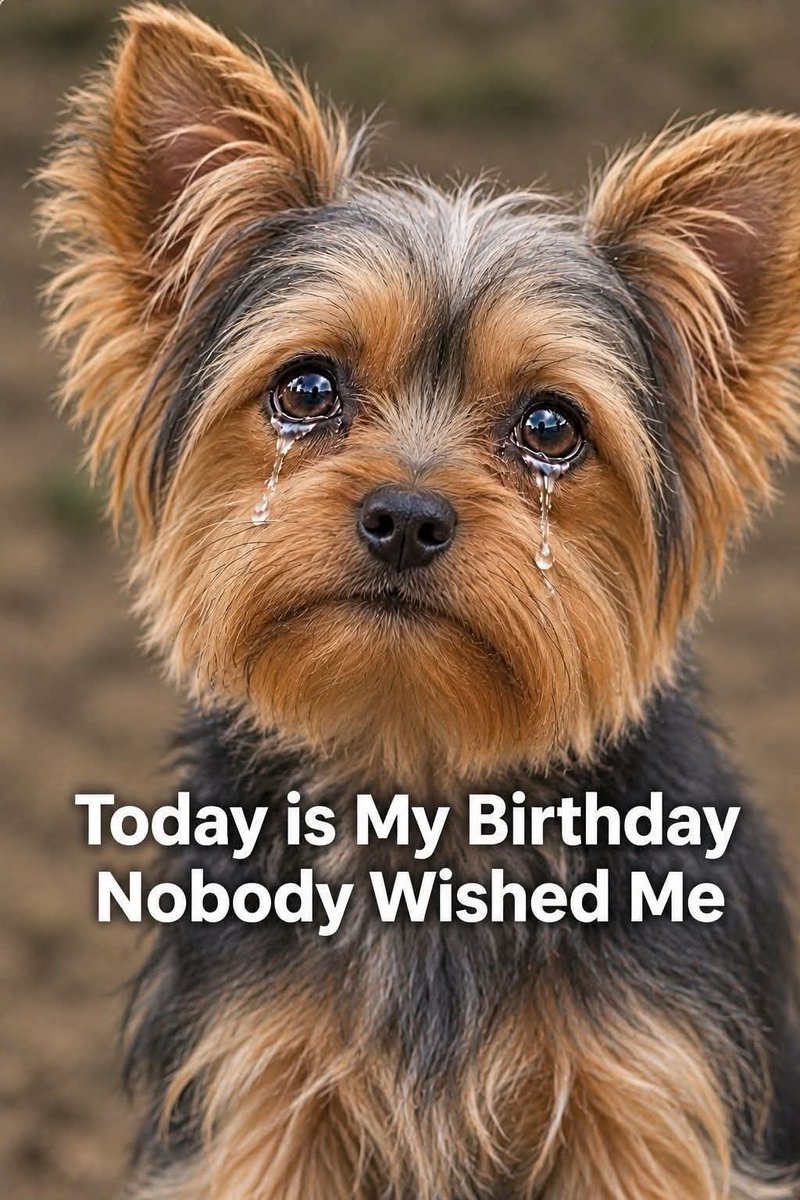 AyitaRose's tweet photo. Mom said nobody will waste their time to wish me happy birthday. https://t.co/ejRKlCC6Lv