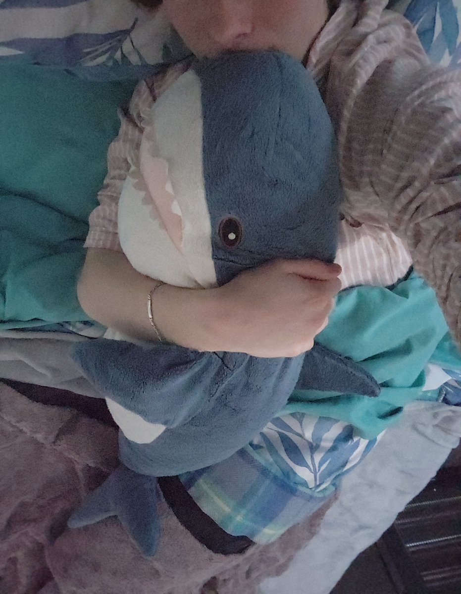 SilkyTwoCutie's tweet photo. Good morning! (or goodnight (or good day)) https://t.co/h6TJaJsYgB