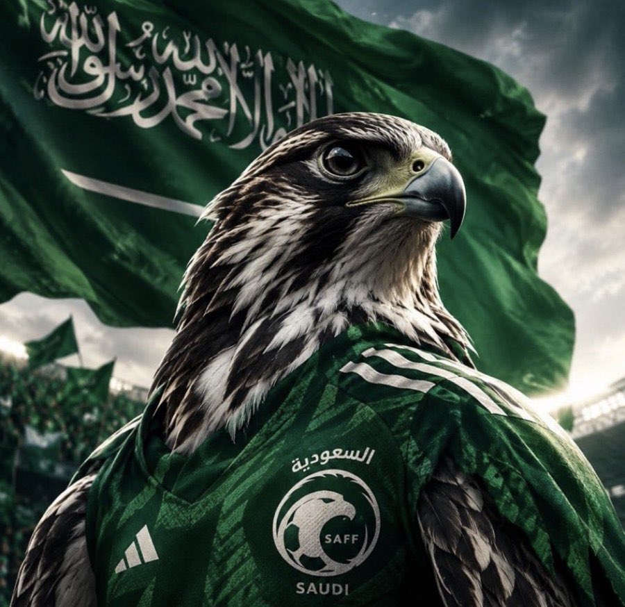 201271_ahmed's tweet photo. @AlRajhiTakaful الف الف الف مبروووووك لصقور 🇸🇦🇸🇦🇸🇦🇸🇦🇸🇦🇸🇦🇸🇦💚💚💚💚 https://t.co/Sfsr4CNC4z