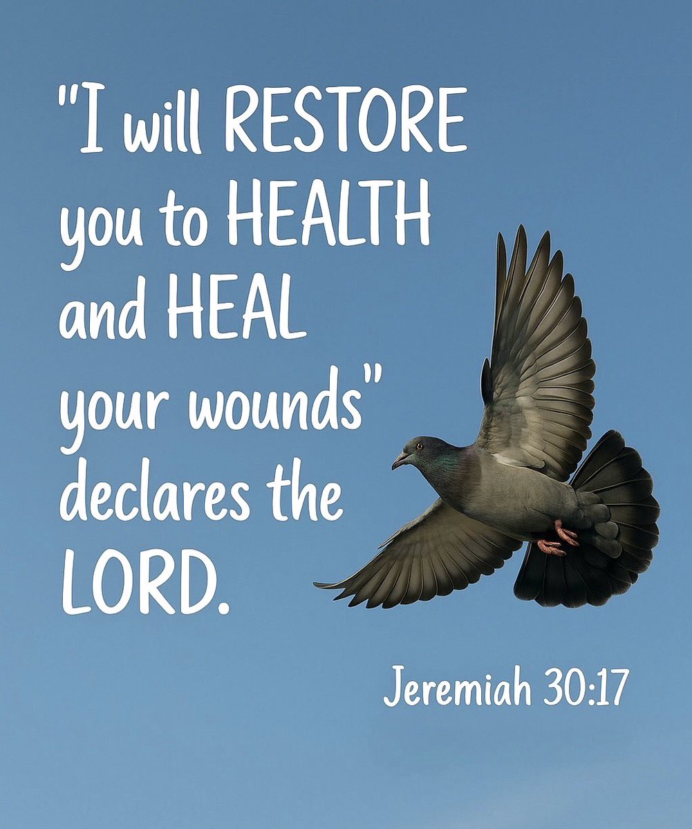 Teresa42254207's tweet photo. Ref. Matthew 8:7 And Jesus said unto him. I will come and heal him.K.J.V. https://t.co/HYrfbZGTqb