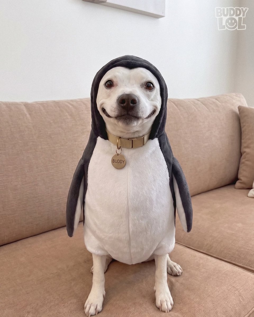 TweeetsOfDogs's tweet photo. Best selfie ever 🐾 🥰😅 https://t.co/qVmaiIsQ4U