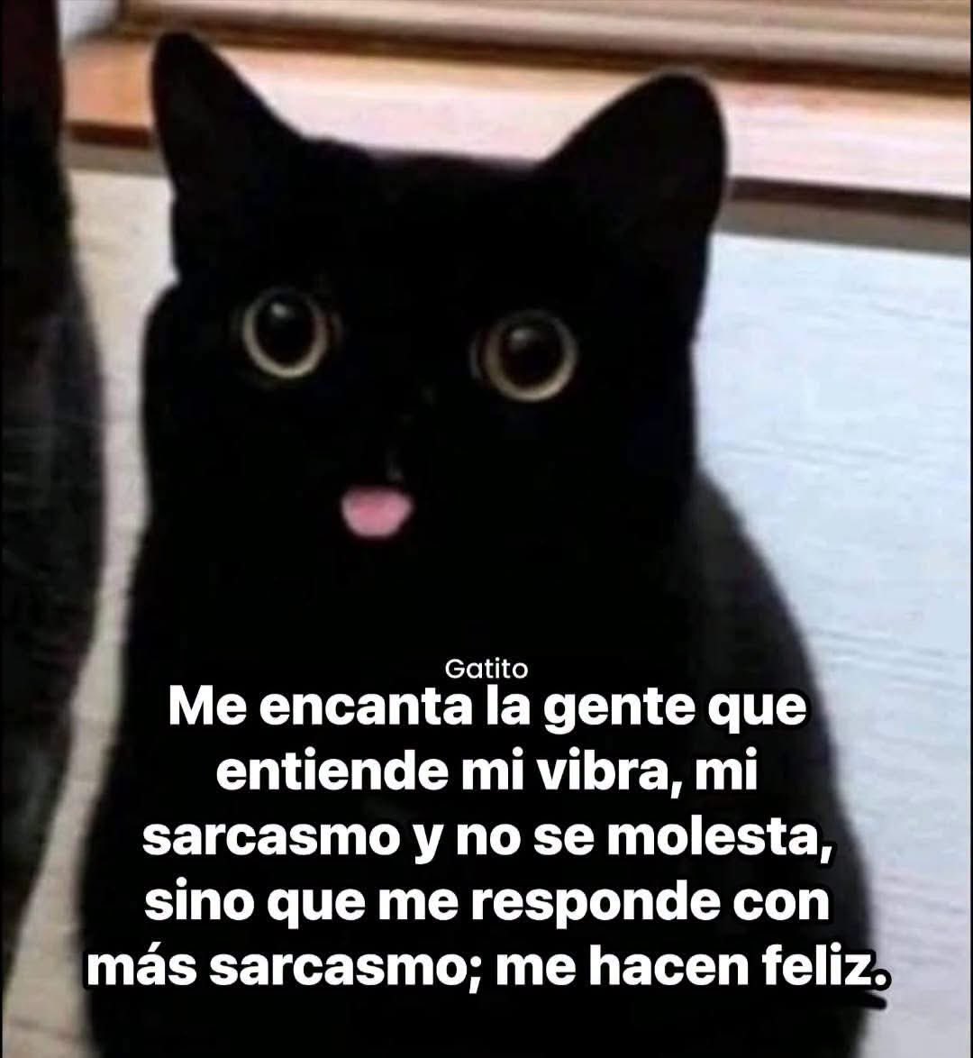 Brujo_Belico's tweet photo. M hacen feliz Alv!! 🫶🏽🥰 https://t.co/Y5RKIj4gfz