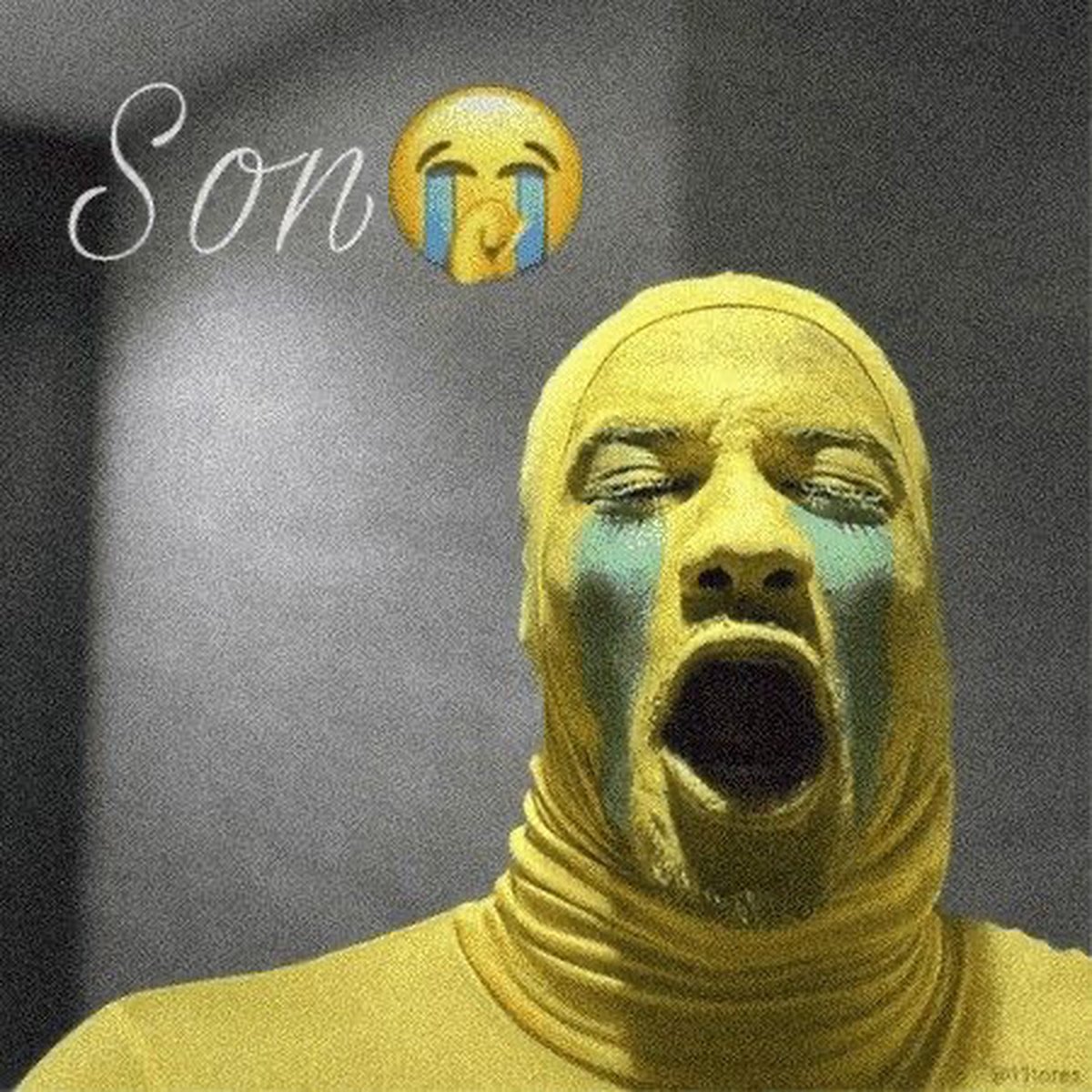 like_my_mirror's tweet photo. i always giggle about son of neptune bc i remember this. Percy having amnesia. frank finding out he is a mars kid. Hazel just struggling https://t.co/eh9xLD3LM3