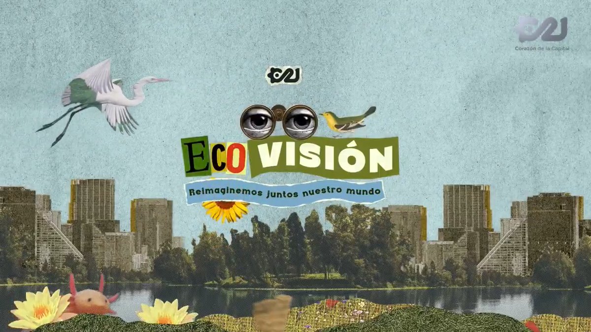 A collage-style title card reading 'Eco VISIÓN: Reimaginemos juntos nuestro mundo' featuring a stork, bird, binoculars, butterfly, and city skyline.