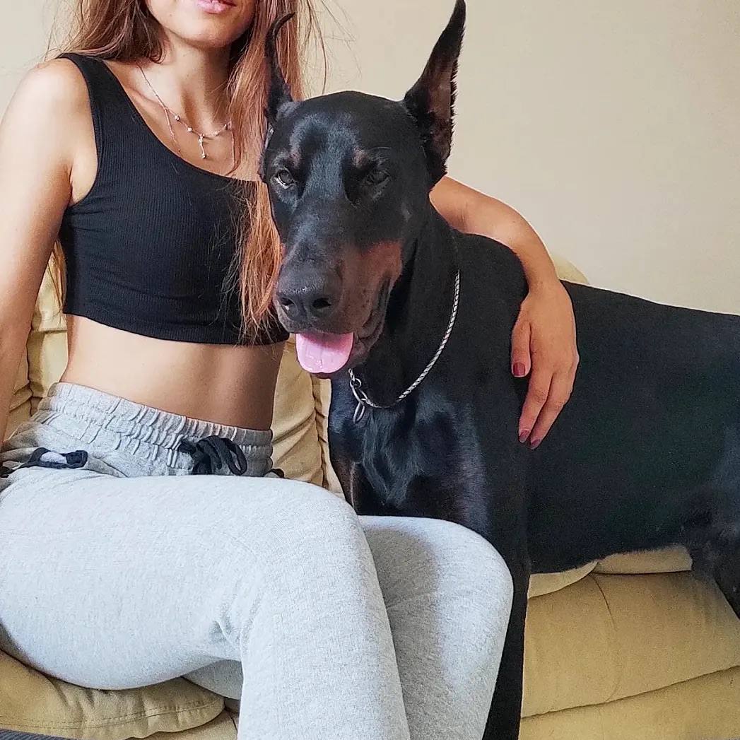 isabella__K9's tweet photo. Trying To Be The Best Version Of Myself .🐾💞 https://t.co/lAAgtTQsxe