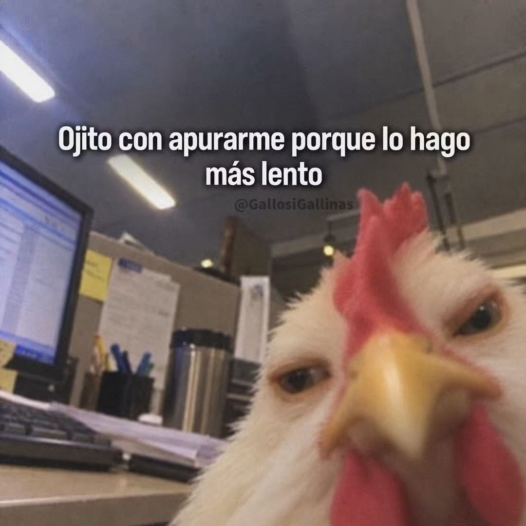 JonathanStark27's tweet photo. Ojito.. https://t.co/NpQoUZBjNN