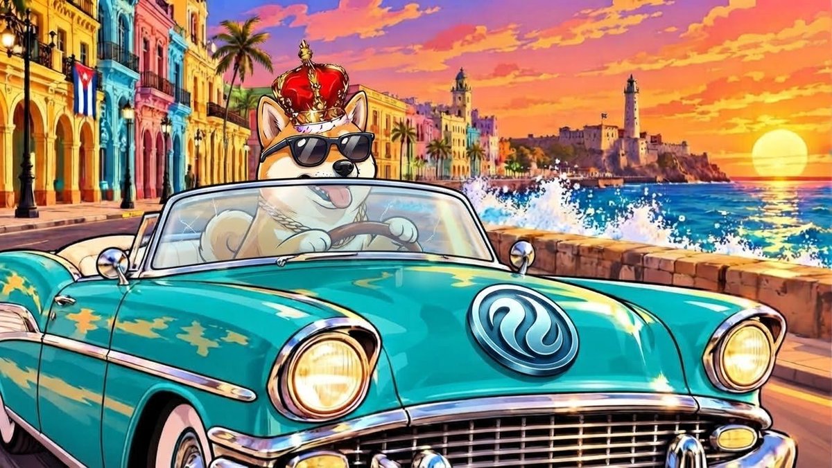 injectiveinu's tweet photo. $INJ perfectly embodies the "old but fast and reliable" label in crypto. Launched originally in 2020, it avoids the massive inflation traps of newer tokens because 100% of its supply is already in circulation, completely removing insider dump risks. #DYOR https://t.co/2s6xkffcux