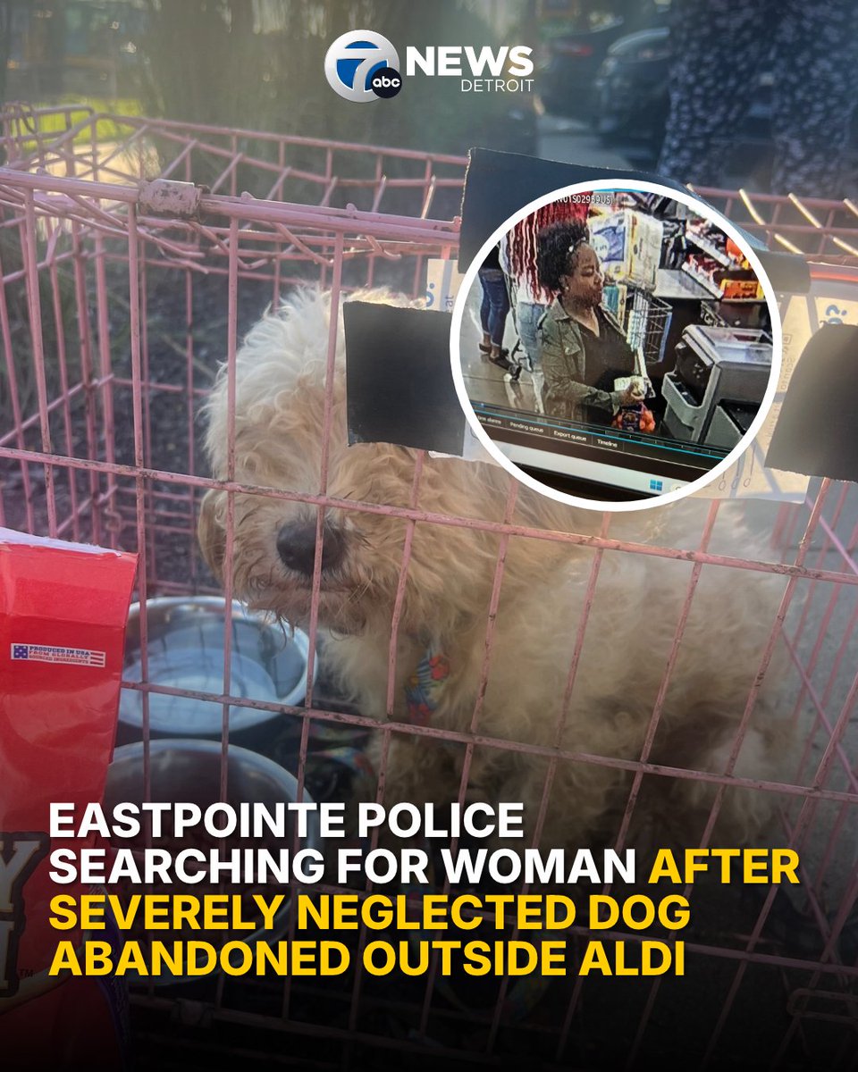 wxyzdetroit's tweet photo. Eastpointe police are asking for the public’s help identifying a woman who investigators believe may have information about a severely neglected dog found abandoned outside an Aldi grocery store over the weekend. Story in bio. https://t.co/VAwxLDc9wu