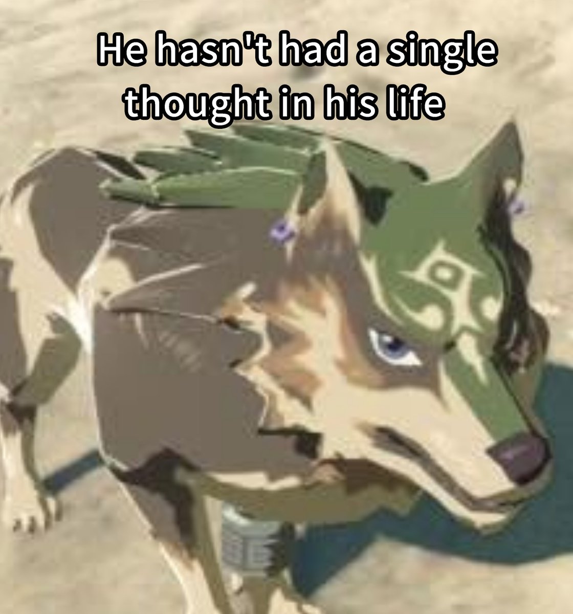 Happy_Bullets's tweet photo. Wolf Link :) https://t.co/Vfv7pa9xlc
