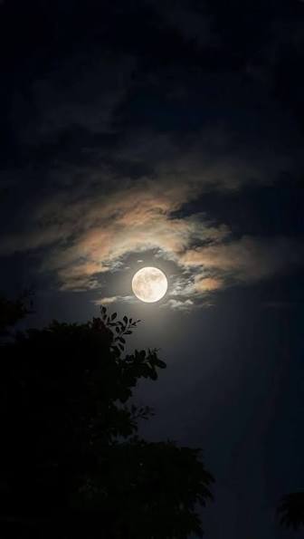 A full moon glowing through scattered clouds at night, with silhouettes of tree branches in the foreground.