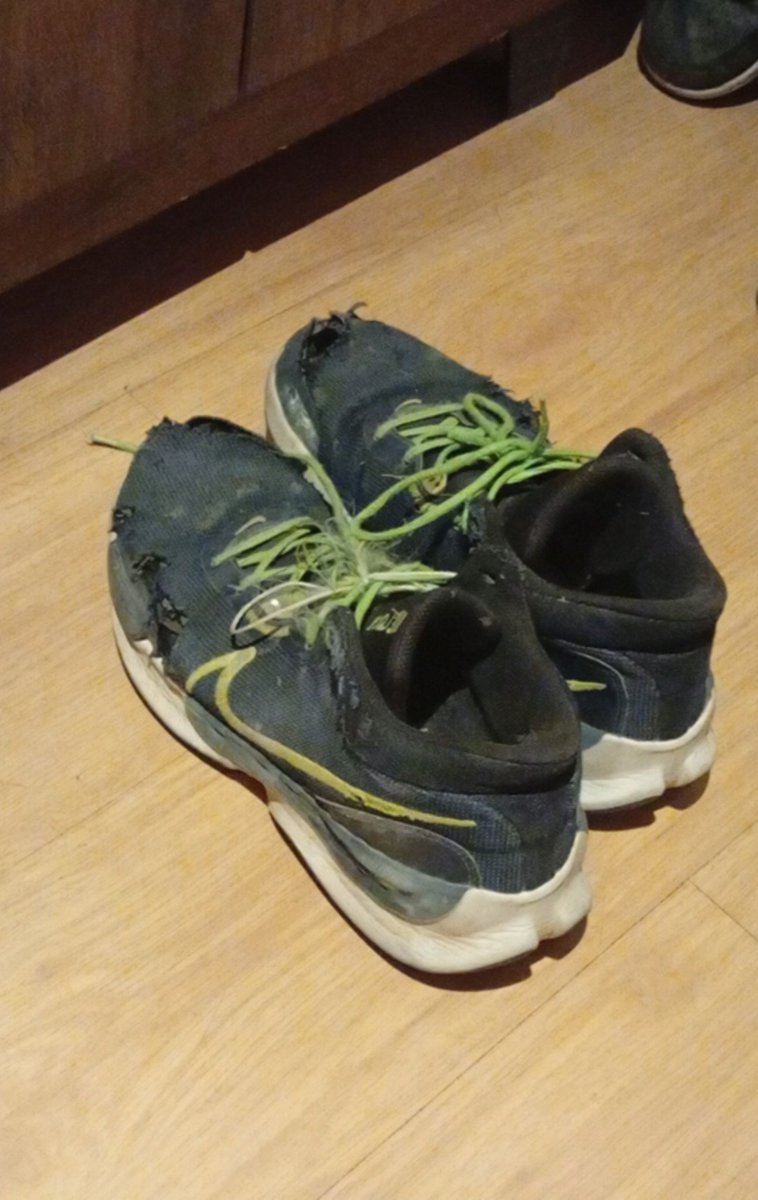 mad_hermes7's tweet photo. adeus reniew foi bom enquanto durou 🏐😔 https://t.co/NnoSUMzpIQ