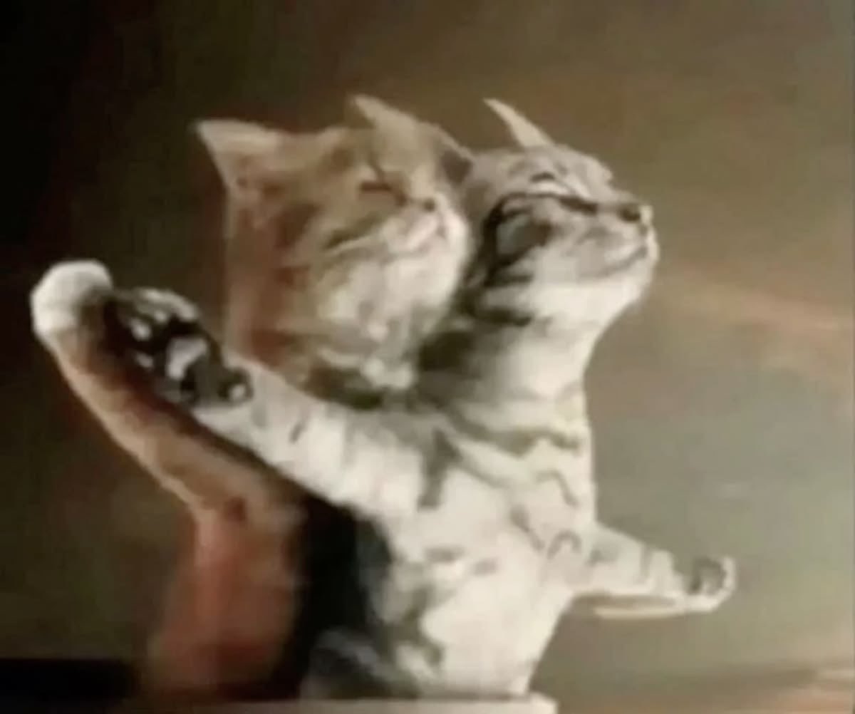 saammonstrrr's tweet photo. شي يشبهني انا والتملكاع https://t.co/HnSWENHlAS