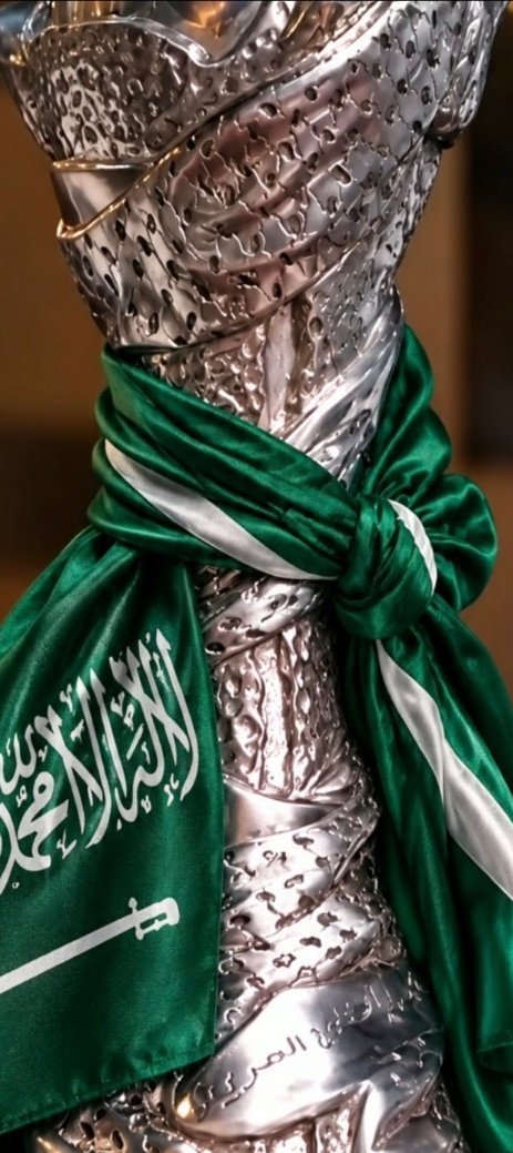 AlgeedN's tweet photo. #خليجي٢٧ 
ألف مبارك ألف مبارك لمنتخبنا  الغالي 
💚🇸🇦💚🇸🇦💚 https://t.co/PfdIG7OGS1