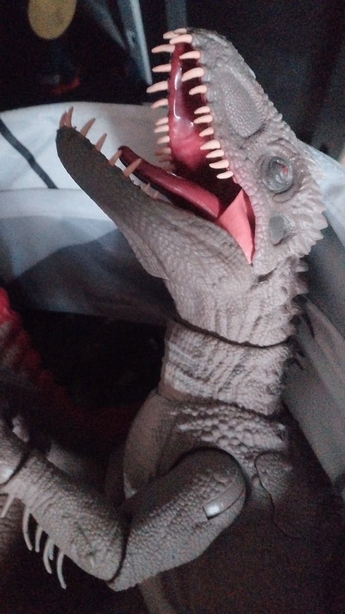ZigredYT's tweet photo. Yo juego con ella a diario, lit se agarro a putazos con grimlock y optimus prime JJSJJ (Si, juego como niño y me vale vrga, soy un greñudo punk) y cuando no la uso la aviento al cesto de ropa sucia JSJSSJ y ahi esta en perfecto estado https://t.co/iTrAh89Plk