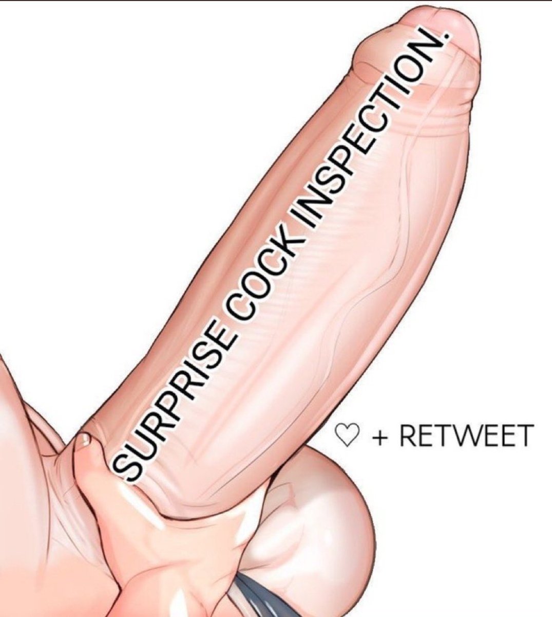 TimidTrainings tweet picture
