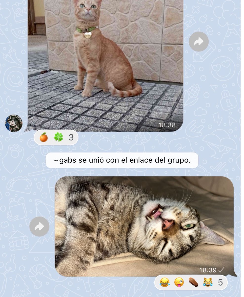 yellowjacquie's tweet photo. Se rien de Ceni pero no saben q ese día cayó en la locura por los 45 grados de sensación térmica https://t.co/RH84JjKZF9