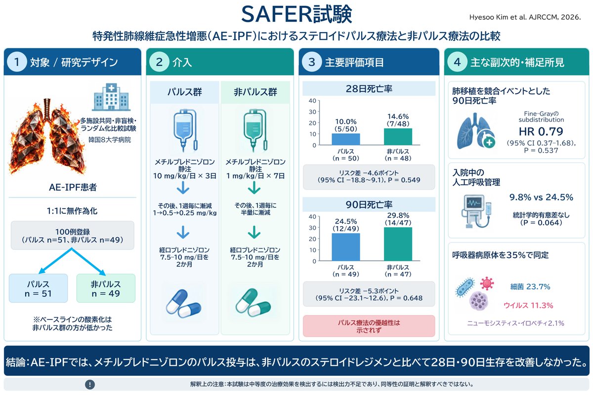 lungdrnote's tweet photo. ついにRCTが出たぞ！！
（SAFER試験、AJRCCM2026）
特発性肺線維症の急性増悪に、
ステロイドパルスは有効なのか？

結論からいうと、
mPSLパルスは、
非パルスのステロイド治療と比較して、
28日・90日死亡率を改善せず。

安全性にも大きな差はなし。

ただし、サンプルサイズ的には検出力不足の可能性が高く、「パルスは不要」「両者は同等」とまでは言えない、そんな結果です。

自分だったら、今までどおりパルスかな。

ブログでも解説してます↓