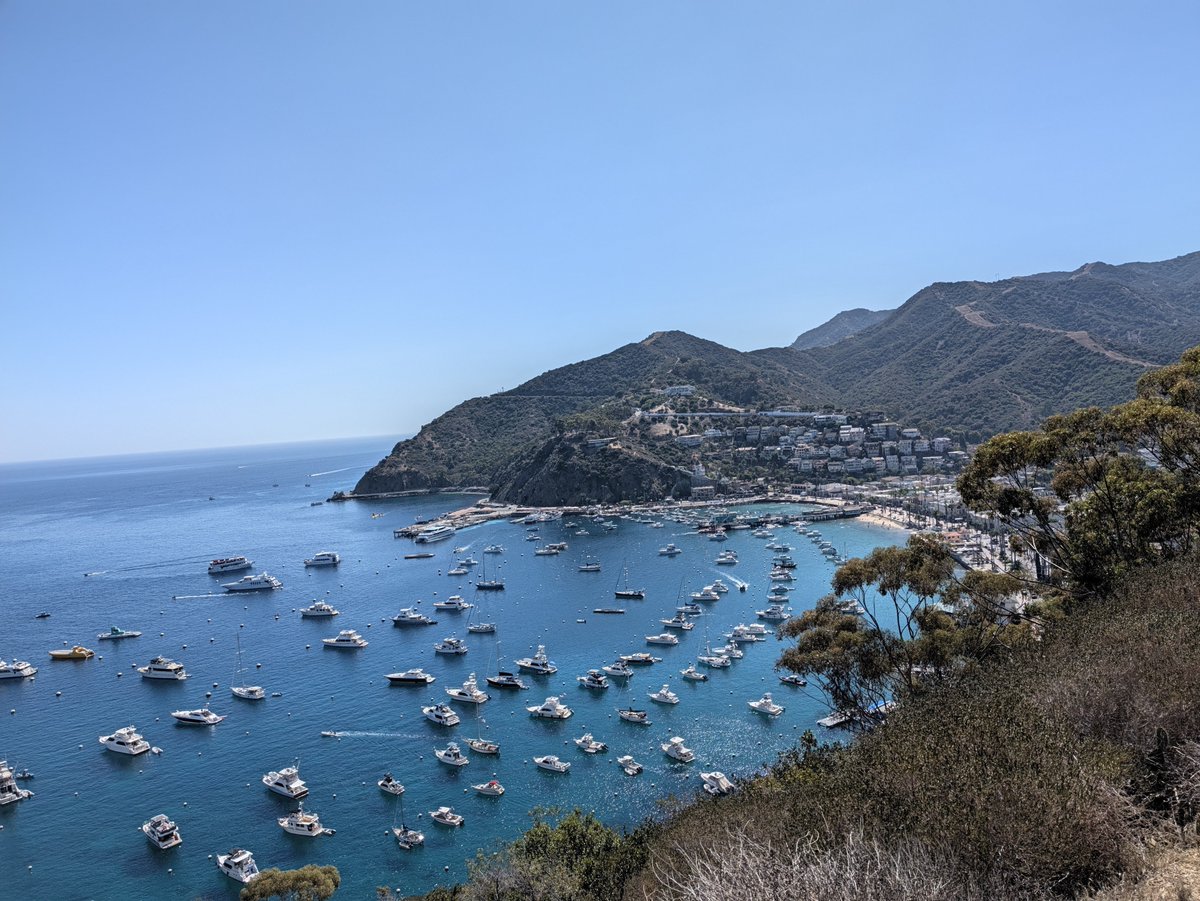 FishStix's tweet photo. Not in Nice yet (flying in on Wednesday). Am at a beach (Catalina). https://t.co/wYBSapbowa