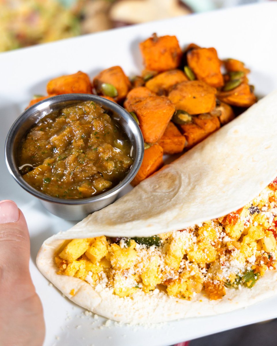 SeattleSutton's tweet photo. Chorizo Egg Breakfast Taco or Breakfast Burrito? https://t.co/gRwcivIhfa