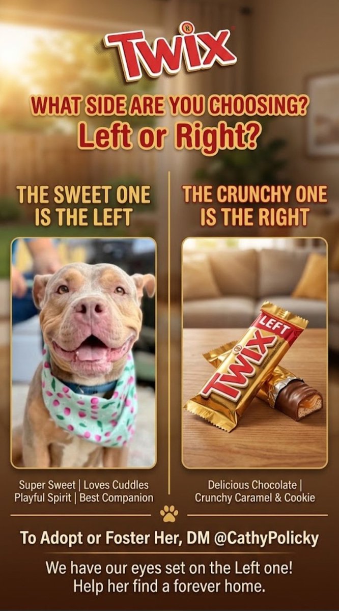 JustinGood65768's tweet photo. On #AdoptionTuesday someone picked the perfect side—the LEFT! 🐶🍫
Twix got her furever home today. Smart person chose a lifetime of sweetness over instant chocolate. 🐾
Thank you to her adopter. So happy for you, girl! ❤️
#AdoptionTuesday #HappyTails #Adopted https://t.co/clvQvkQRQf