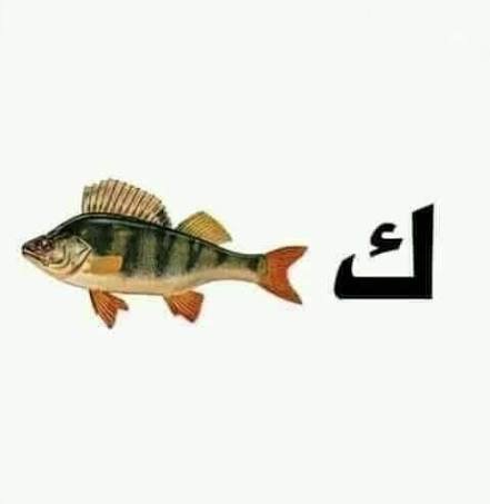 Human_scum12's tweet photo. @abo_charbel14 المصدر👇 https://t.co/vNsmEvxHJv