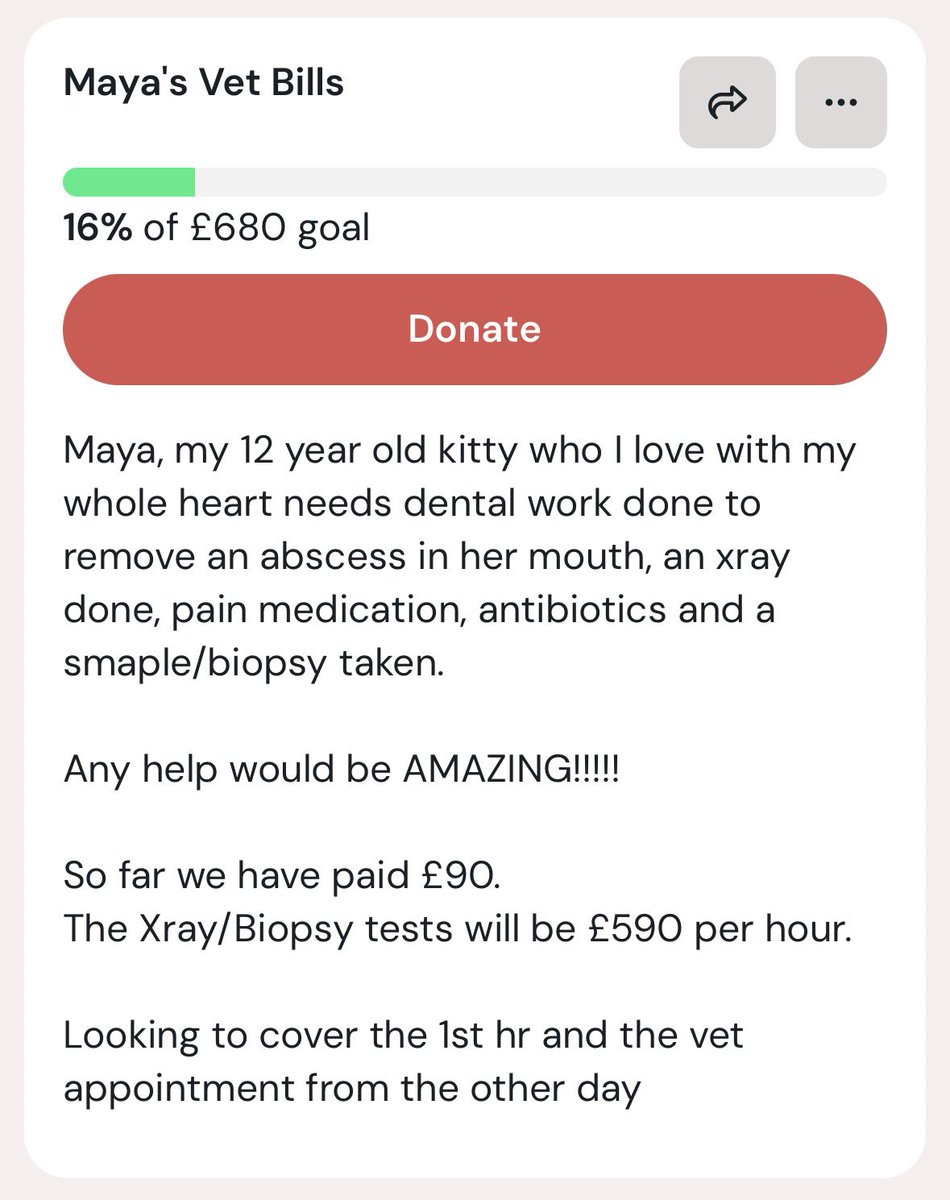somniacoreVT's tweet photo. maya is going to the vets again tomorrow and sadly whatever the outcome, we still have a massive bill to pay 😔

any help is so much appreciated! 🫶🏻

❤️&amp;🔁 are wonderful also https://t.co/OrxFGBWVuH