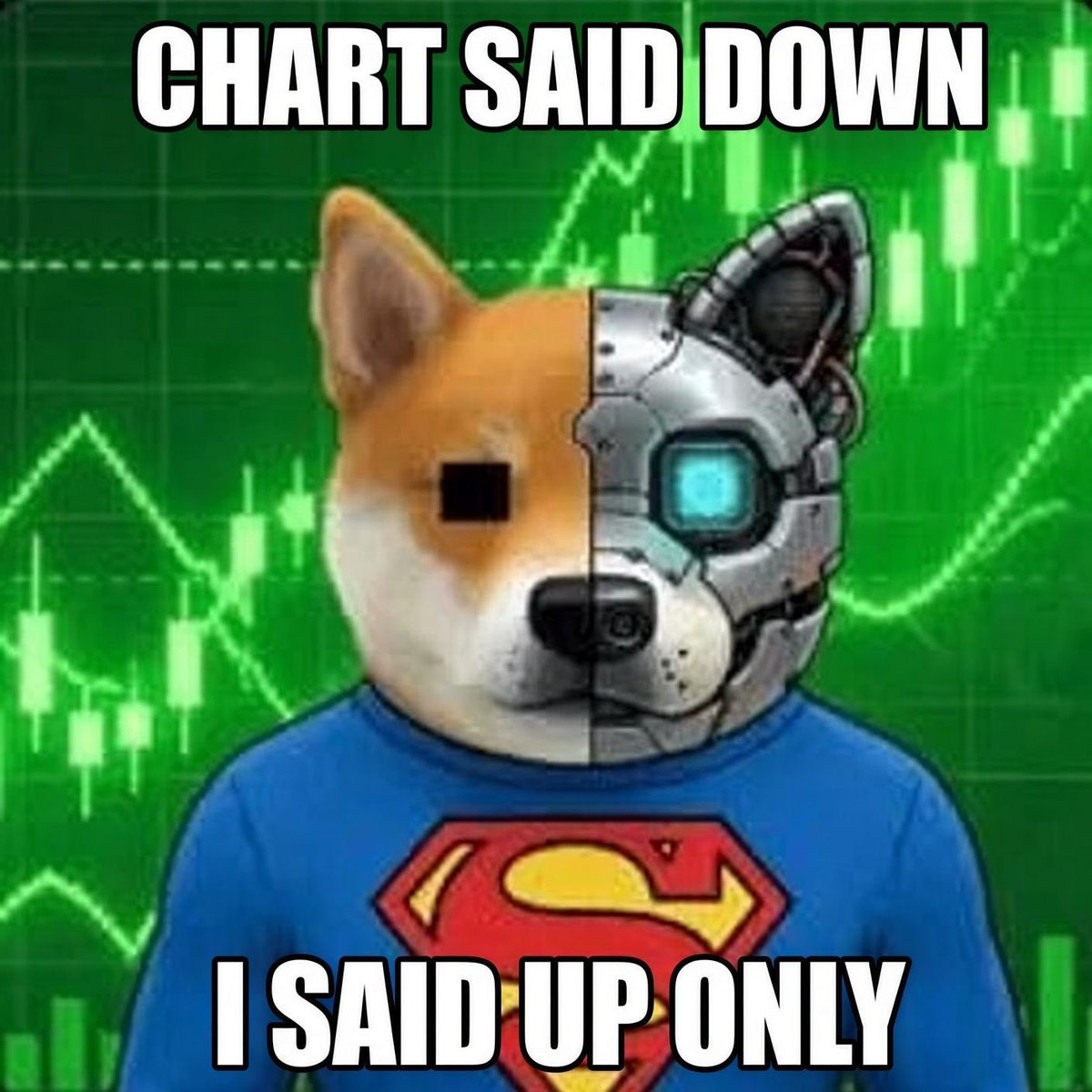 DigitalSuperInu tweet picture