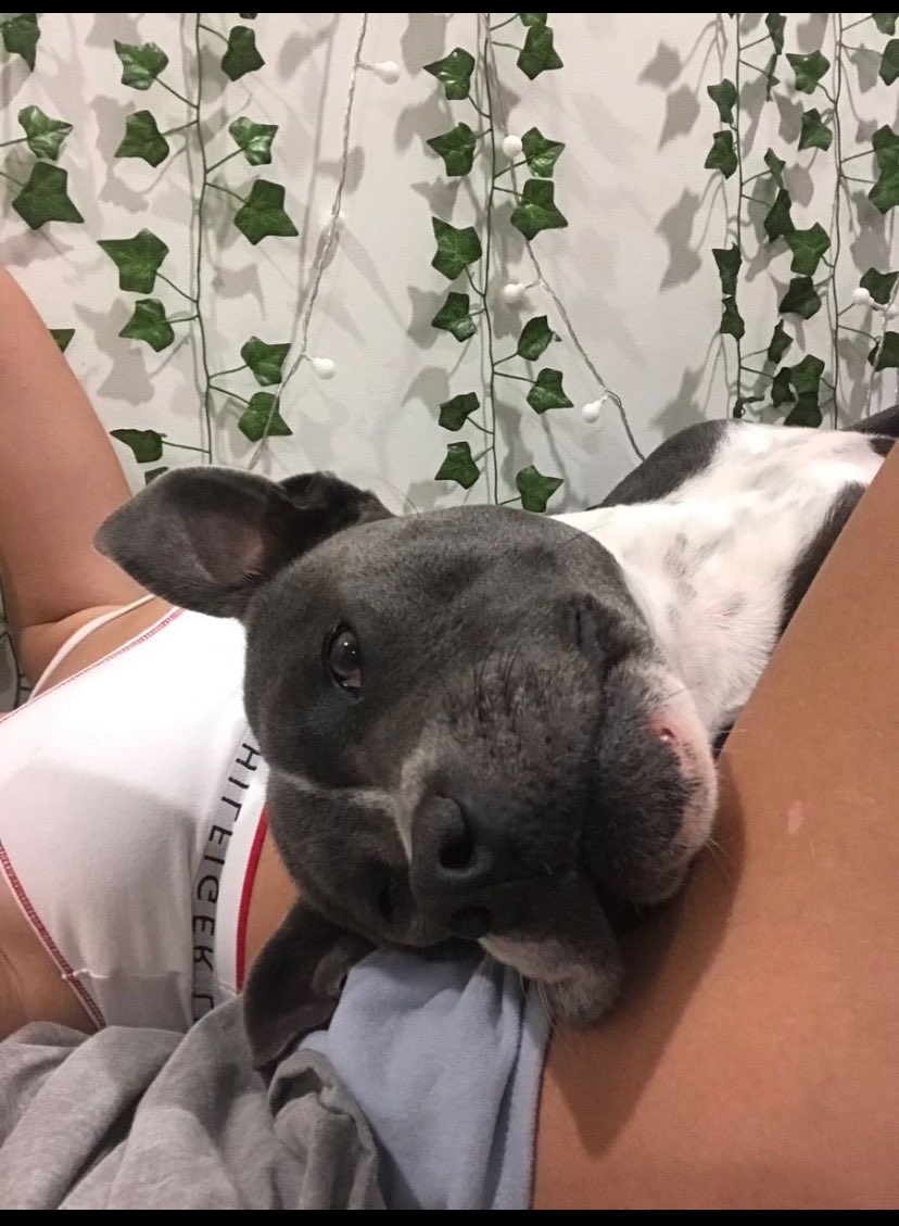 grasmere0's tweet photo. Damn mb for being inactive had a bunch of shi goin on rn 
#slut #nsfwtwt #bwc #whore #satx #atx #htx #dfw #texas #bigcock #white #porn #nsfw #nsfwtwtً #bi #trade #horny #vid #bwc #onlyfans #sextape #cumshot #thot #nolimits #contentcreator #ebony #taboo #seller #pyt #cheating https://t.co/FXdQbmZkwu