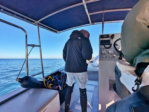 BaSnorkel's tweet photo. Join a guided tour to Espiritu Santo Island near La Paz, #Mexico and #snorkel with #sealions , explore deserted #beaches , see blue footed boobies and the occasional goat. How did you like it? #EspirituSanto #LaPaz https://t.co/cvI6i5wnkk https://t.co/MhT2SSS6II