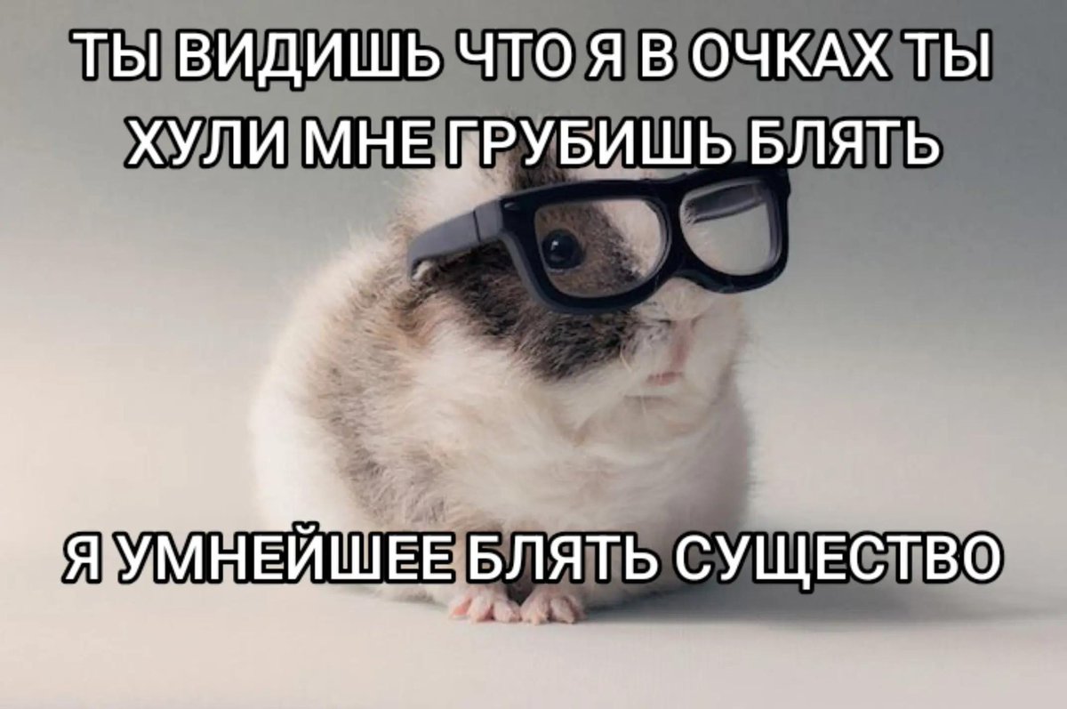 Misunderst3ezr's tweet photo. 🦭 https://t.co/2YBkaXHlGY