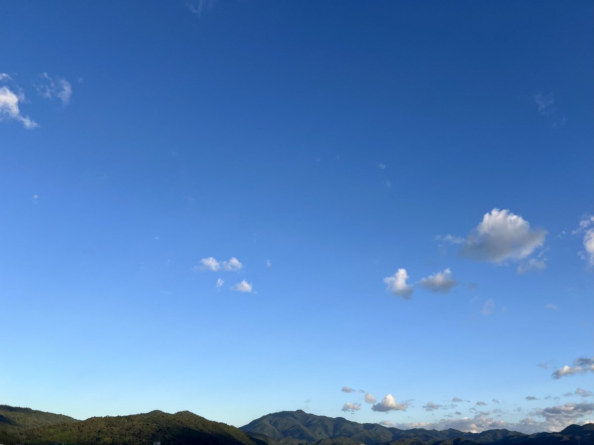 milleRaizo's tweet photo. おはようございます🌤️ https://t.co/la6lgVttbl