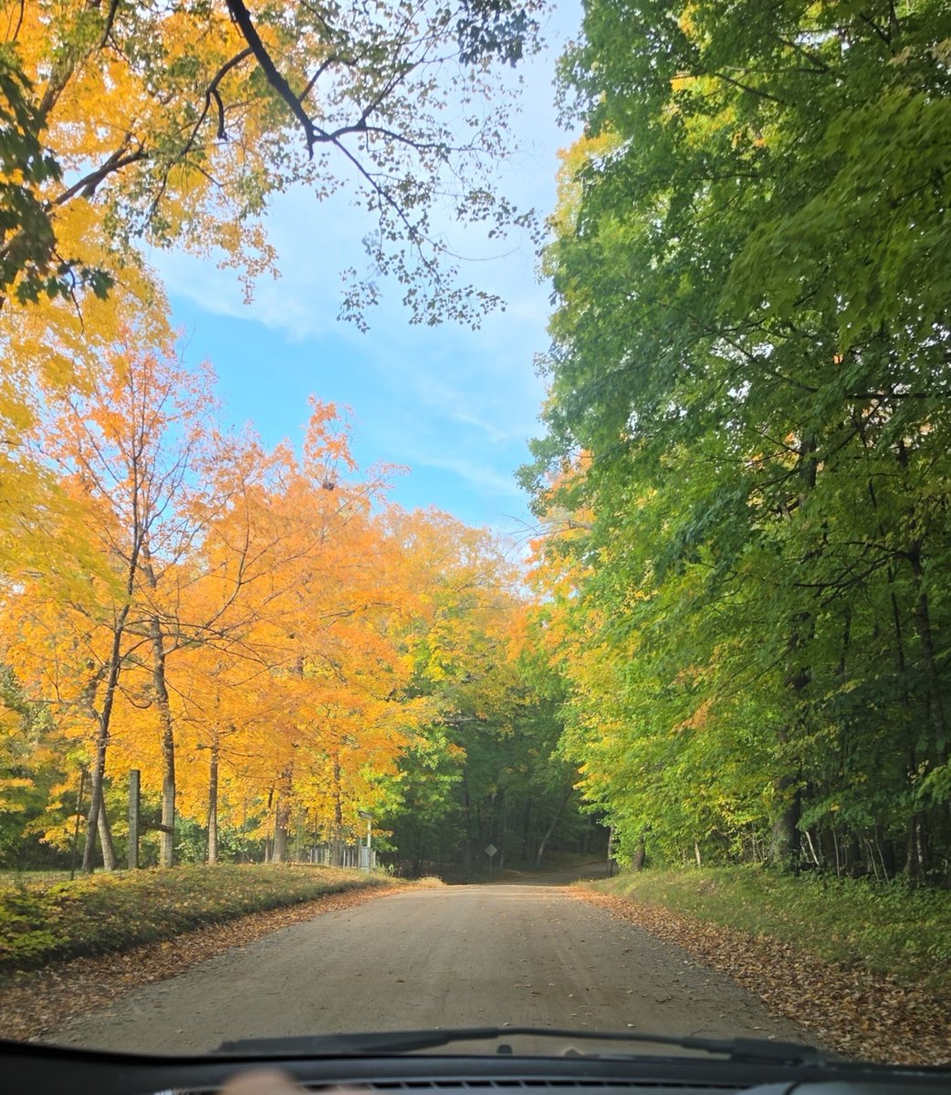 CommonSenseSam's tweet photo. What a beautiful drive https://t.co/j5tOVGFiyx