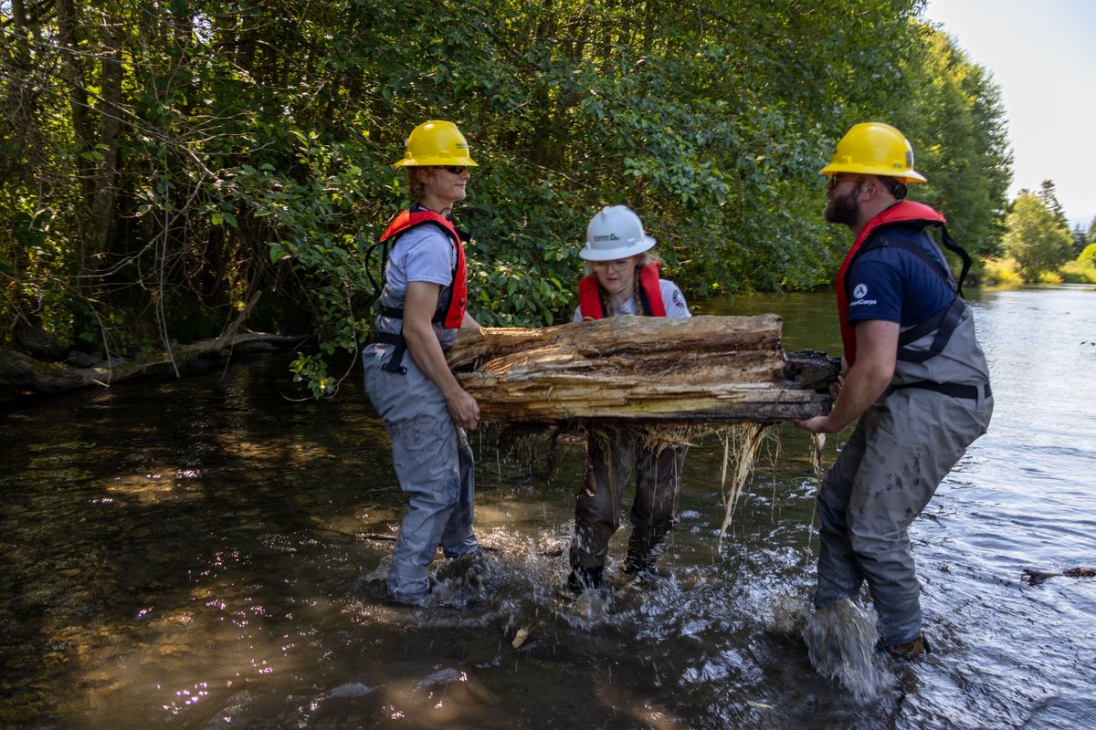 nwtreatytribes's tweet photo. Salmon swimming upstream in the Dungeness River this summer and fall were able to get through normally troublesome areas with help of the Jamestown S'Klallam Tribe and partners improving the habitat. 

https://t.co/nO9OFblnN7 https://t.co/PNAMIABnVb