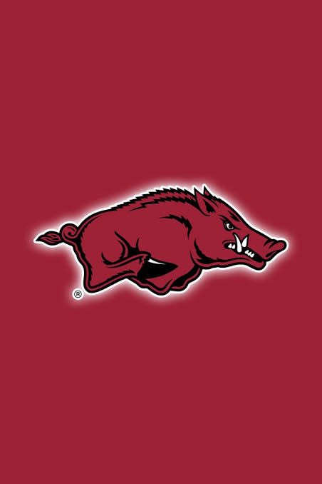 KarzellD's tweet photo. After a great conversation with @SGasper_UArk blessed to say I have an offer from @RazorbackFB @MikeRoach247 @justinallen_13 @247recruiting @MikeRoach247
@samspiegs @R_Brauninger @TomLoy247
@astrasportsgrp @CyFallsFB @RecruitingCFHS https://t.co/XElt6b3y5w