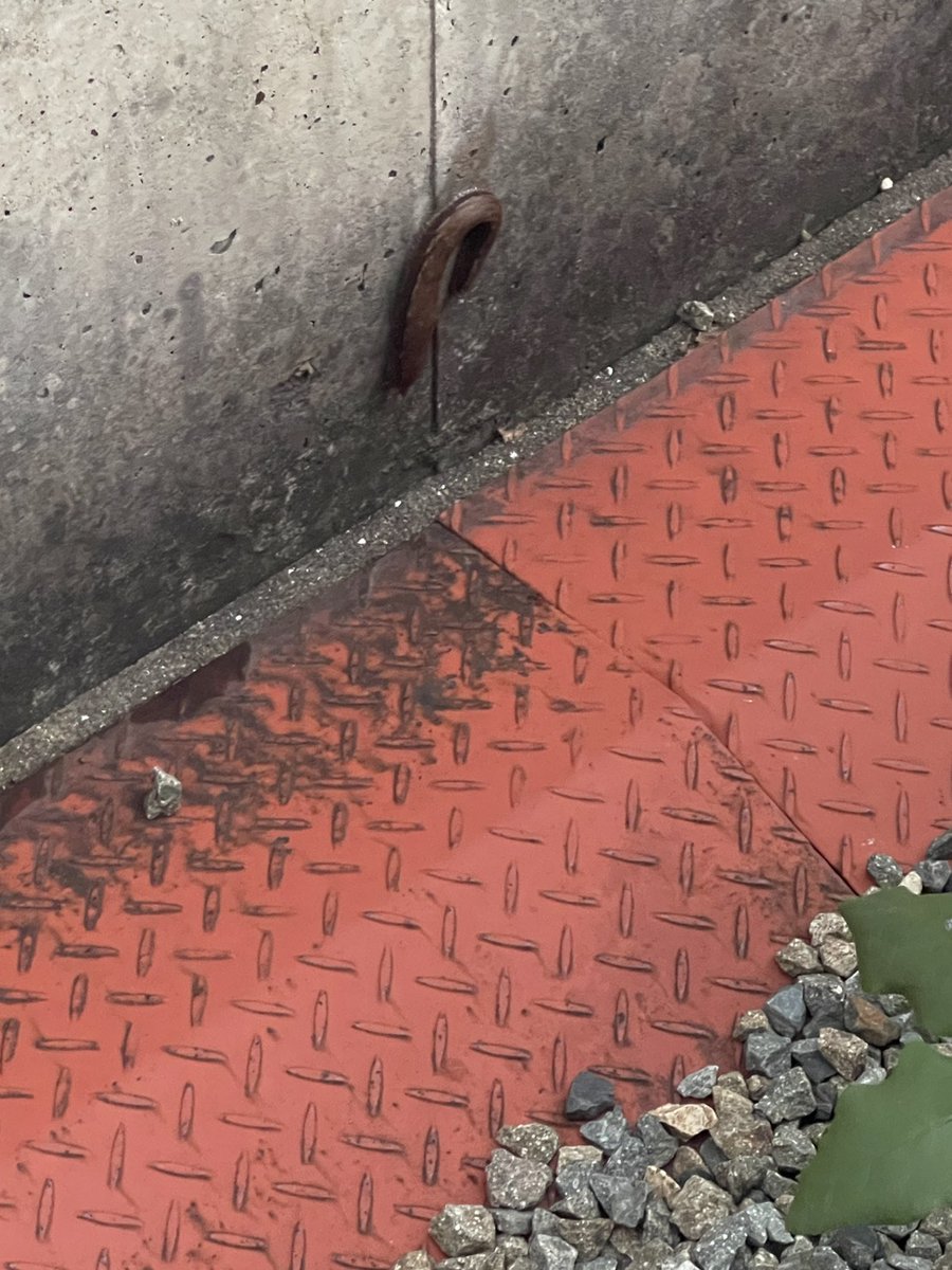 SolidSn88698827's tweet photo. ※朝からセンシティブネタすまん
ーー
ワイ「ヌコが器用に壁に💩？んなわけないか…」
（よく見る）
ワイ「デッケー！なんこれ？」 https://t.co/N4WEYZWqkd