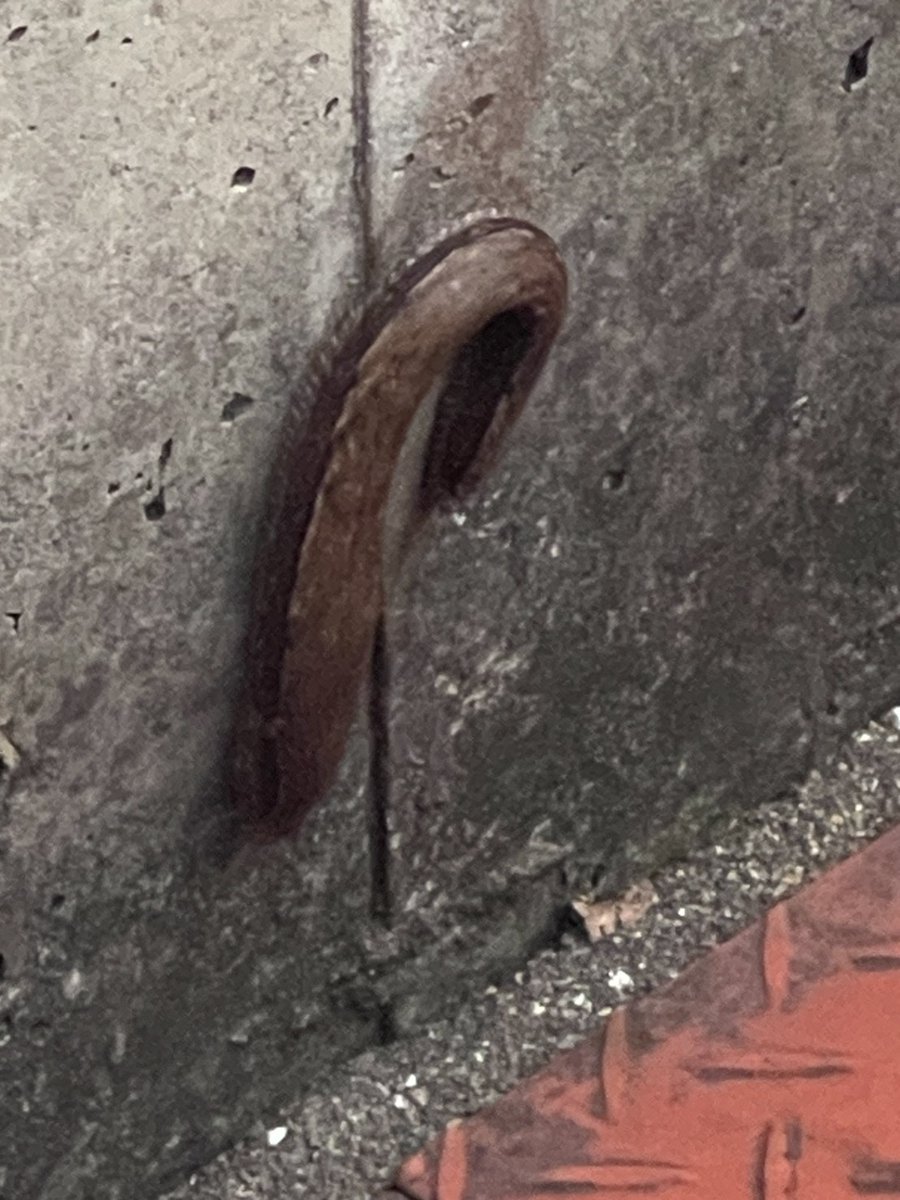 SolidSn88698827's tweet photo. ※朝からセンシティブネタすまん
ーー
ワイ「ヌコが器用に壁に💩？んなわけないか…」
（よく見る）
ワイ「デッケー！なんこれ？」 https://t.co/N4WEYZWqkd