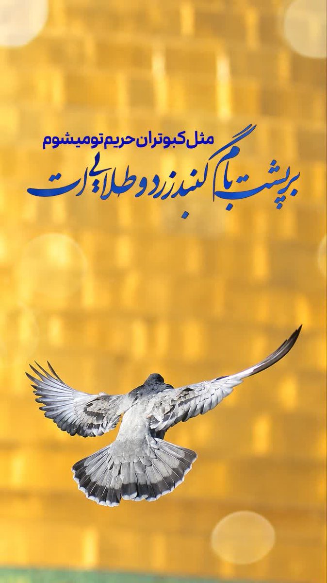 avar266's tweet photo. خوش بحال کبوترای حرمت......
السلام علیک یا علی ابن موسی الرضا(ع) https://t.co/zA9w7fcGQO
