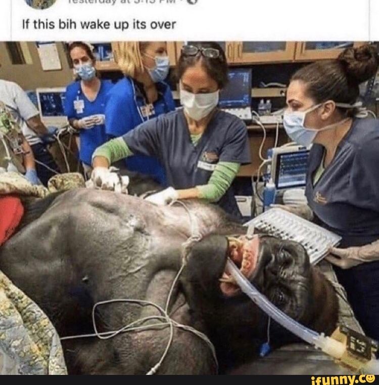 bottledfleet's tweet photo. https://t.co/Hjdh91QMGQ