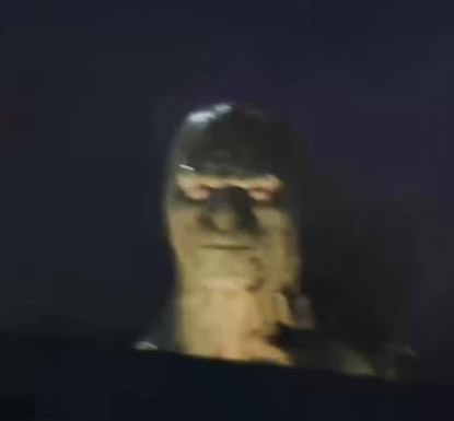 DelsonZX's tweet photo. @Prpl_Dude @MiiaTzu Dawg you genuinely need to go find help. Going as far as making an edit of Miia burning is some hate boner type behavior. Ya’ll need to get over shit and leave her alone genuinely https://t.co/9480OT1zEX
