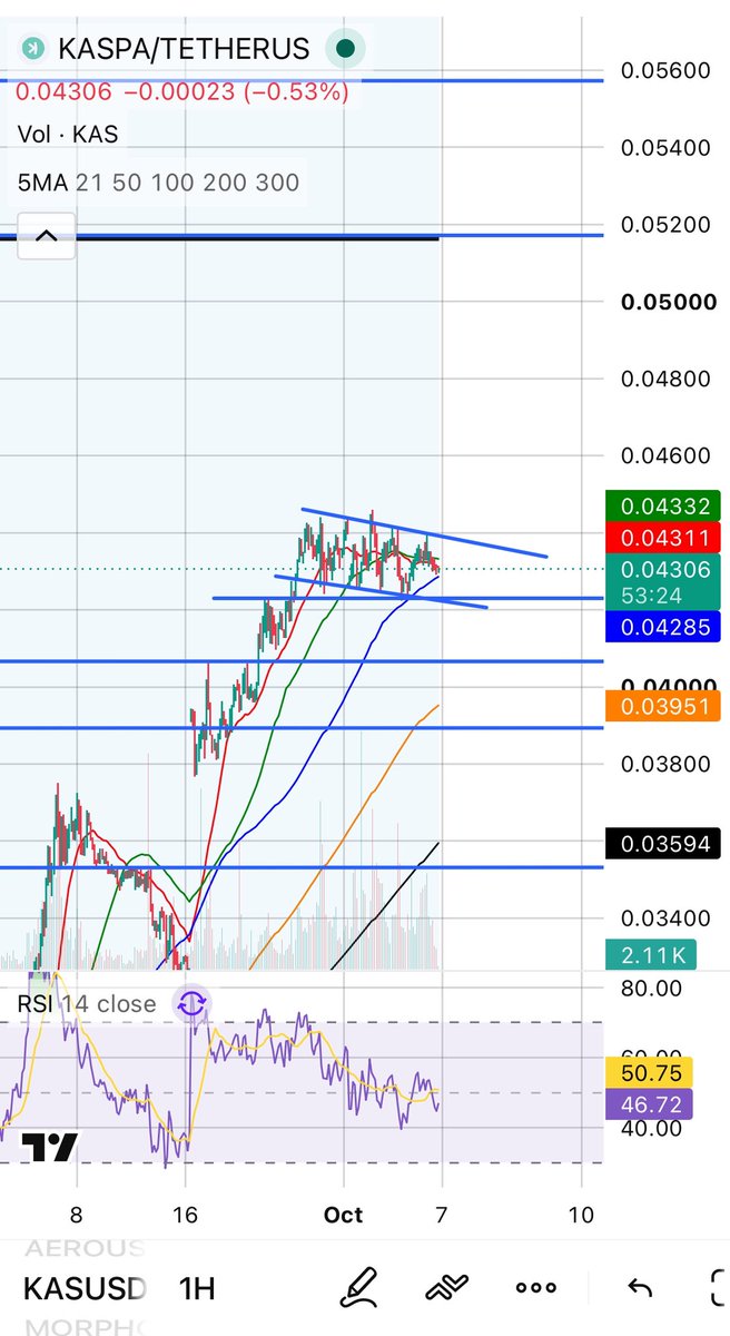 NichtayCrypto's tweet photo. Looks to me like a bull flag is loading on Kaspa!!! base:0xa366060dcfad8cb61db953a3a170d4cd8232f021 📈📈📈

If this plays out to the upside, I see the POC at about $.052 as the next stop 🚀

Hope you’re all ready for a bullish Q4 for kaspa:native 🔥🔥🔥 https://t.co/sm9vR6dpYR